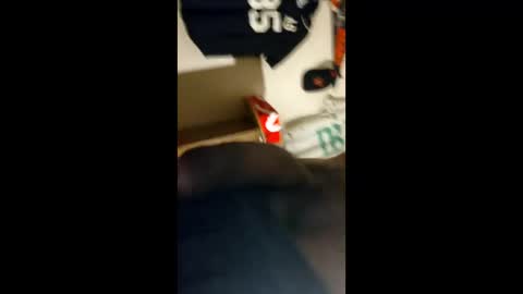 baz_esp online show from 04-05-26, 11:29