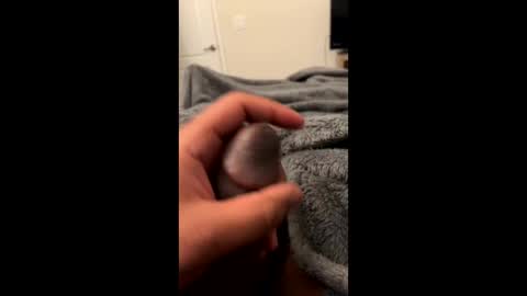 Snapshot of bbc4_fun chatting on 02-23-25, 06:07 bbc4_fun online show from 02-23-25, 06:07