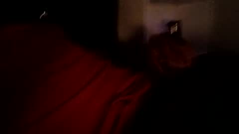 Snapshot of bbetoven chatting on 10-27-25, 06:50 bbetoven online show from 10-27-25, 06:50