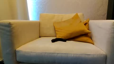 bd online show from 02-09-26, 03:16