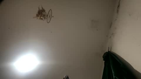 Sara  Juan online show from 11-27-25, 02:24