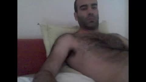 Snapshot of bear14250949 chatting on 11-07-25, 08:36 bear14250949 online show from 11-07-25, 08:36
