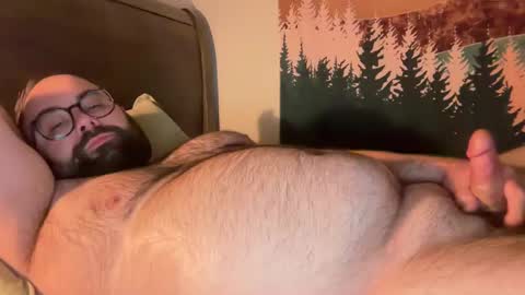 Snapshot of bear_country chatting on 02-25-25, 02:03 bear_country online show from 02-25-25, 02:03