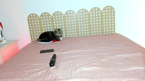 Beautyraf online show from 12-18-25, 10:49