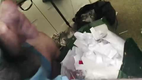 Snapshot of beenallover92 chatting on 01-22-25, 02:03 beenallover92 online show from 01-22-25, 02:03