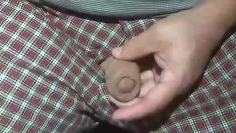  Reservoir Dogs online show from 10-20-25, 02:12