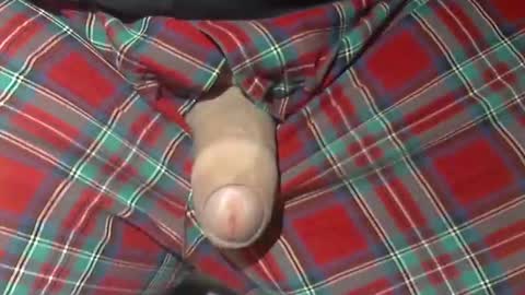  Reservoir Dogs online show from 10-21-25, 10:05