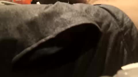 begdik25 online show from 10-11-25, 08:13