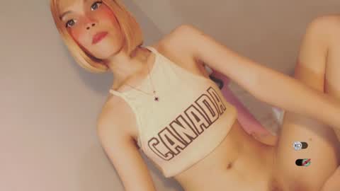 Snapshot of bella_tara chatting on 12-28-24, 07:33 Bella online show from 12-28-24, 07:33
