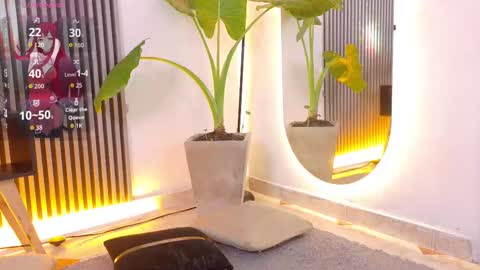 belladuboiss_ online show from 09-11-25, 01:00