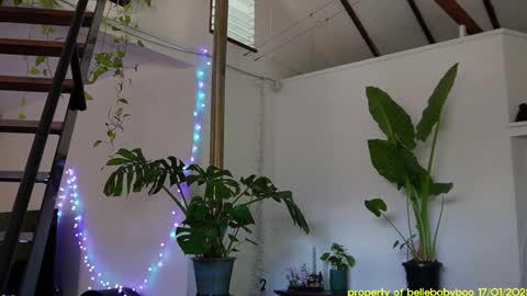 BELLE   online show from 01-18-25, 04:48