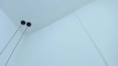 Bellota Flak online show from 12-11-24, 06:47