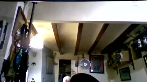 bernichaos77 online show from 03-17-26, 02:16