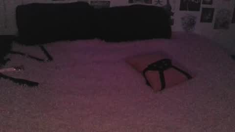 BerrieKitten online show from 10-26-25, 07:20