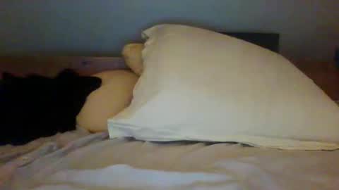 bibipheuck online show from 11-13-25, 12:04