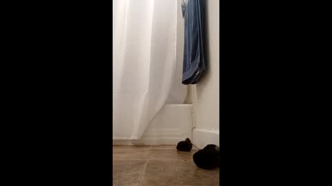 Snapshot of bibottom68942 chatting on 12-22-25, 12:24 bibottom68942 online show from 12-22-25, 12:24