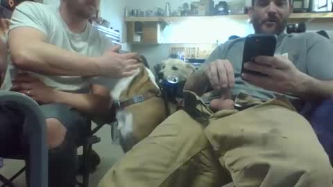 bicboy007 online show from 03-08-25, 02:34