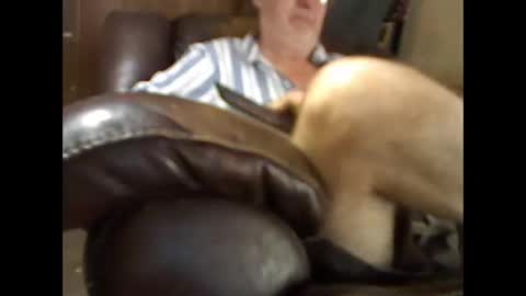 Snapshot of bigbenidick1 chatting on 11-26-25, 04:41 BB online show from 11-26-25, 04:41