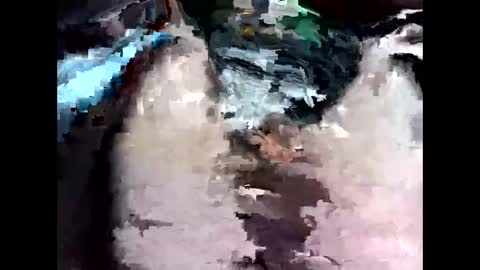 bigbird0100101 online show from 02-07-26, 06:55