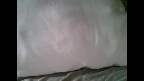 bigbravo337 online show from 11-22-25, 02:27