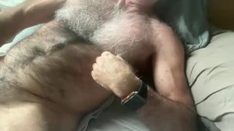 Snapshot of bigbush1 chatting on 01-17-25, 05:32 big bush online show from 01-17-25, 05:32