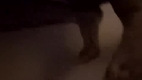 Snapshot of bigd12345678897020 chatting on 11-01-25, 01:51 bigd12345678897020 online show from 11-01-25, 01:51