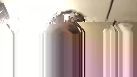 Snapshot of bigdaddy1988_ chatting on 11-03-25, 06:14 Big Daddy 1988 S online show from 11-03-25, 06:14