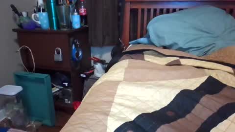 Snapshot of bigdaddy199030 chatting on 02-13-25, 02:34 BigDaddy199030 online show from 02-13-25, 02:34