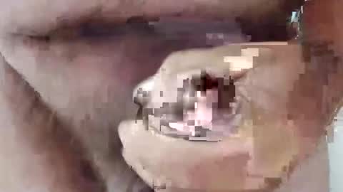 bigdforfun2nite online show from 10-15-25, 11:16