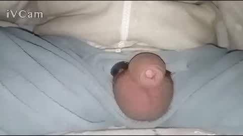 Big online show from 01-30-25, 02:49