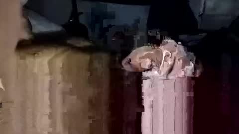 bigdickdaddy7201979564868 online show from 11-23-25, 02:17