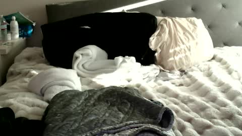 bigdickjoey1995 online show from 01-10-25, 11:29