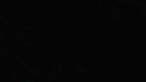 Snapshot of bigdizzyd chatting on 12-28-24, 02:33 7inchstroker online show from 12-28-24, 02:33