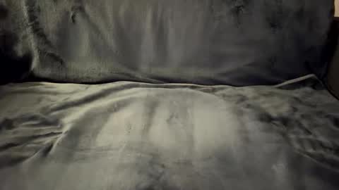 bigdoghandlerofficial online show from 02-08-26, 08:34