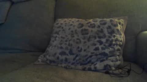 Snapshot of bigdt444420 chatting on 11-17-25, 05:13 bigdt444420 online show from 11-17-25, 05:13