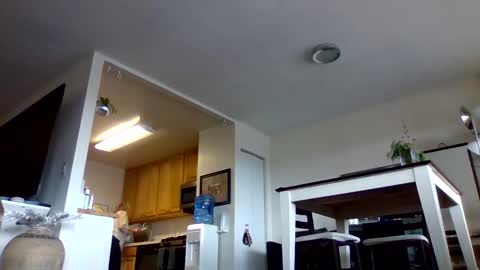 Snapshot of bigjoed233 chatting on 01-10-26, 03:47 bigjoed233 online show from 01-10-26, 03:47