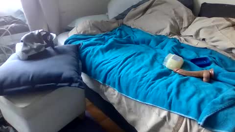 Snapshot of bigjoed233 chatting on 03-08-26, 03:05 bigjoed233 online show from 03-08-26, 03:05