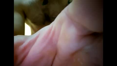 bigjoeyblow online show from 11-01-25, 06:37