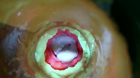 bigmoneycorey online show from 03-14-26, 07:30