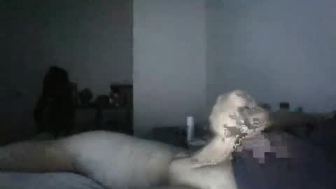 BigO online show from 12-19-24, 08:23