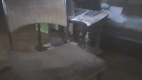 Snapshot of bigpenix chatting on 01-15-25, 02:06 bigpenix online show from 01-15-25, 02:06