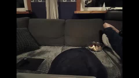 bigswe1 online show from 03-05-25, 01:52