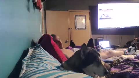 bigtomcat45 online show from 12-24-24, 06:17