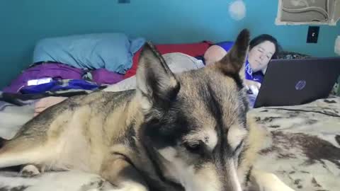 bigtomcat45 online show from 12-26-24, 10:52