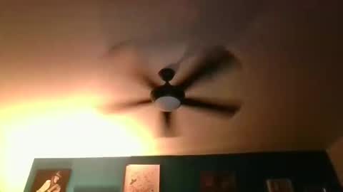 Snapshot of billjames55 chatting on 03-14-26, 08:42 billjames55 online show from 03-14-26, 08:42