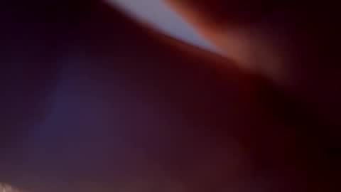 Snapshot of bird70 chatting on 11-16-25, 06:30 spunday online show from 11-16-25, 06:30