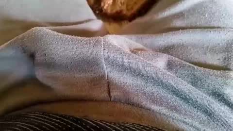 pocolococo online show from 03-23-26, 08:51