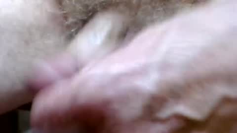 bitexan69 online show from 09-20-25, 09:21