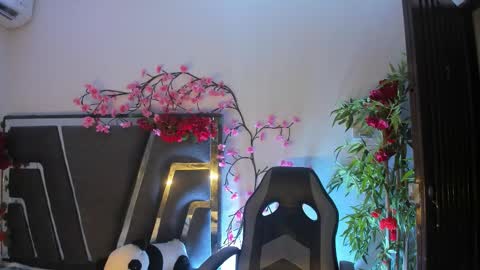 B L A C K  R O S E  online show from 11-09-25, 11:19