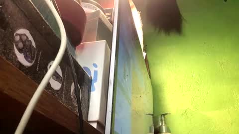 Crystal online show from 11-13-25, 02:49